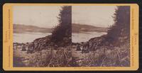 Photographs by Eadweard Muybridge.