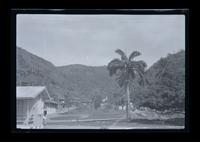 Chacachacare leper colony.