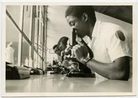 Congolese students using microscopes.