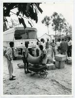 Food and Agricultural Organization of the United Nations relief in the Congo.