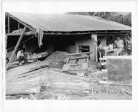 Hurricane Fifi aftermath, Honduras, 1974.