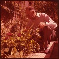 Man tending to garden.
