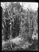 Dr. Hereford and Rev. Barnard demonstrate development of corn, Hiroshima, 1938.