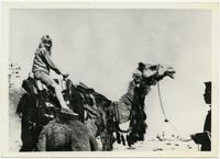 Betsy Davies on camel, Palmyra, Lebanon.