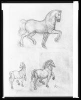 "Horses" - by Leonardo.