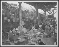 Chinese refugees.