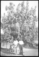 Two men and two children standing under a tree.