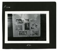 Photographs posted on a board.